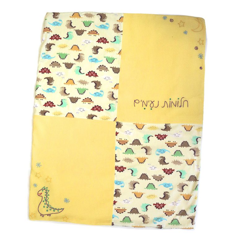 Dinosaur Summer Baby Blanket Yad LaKashish