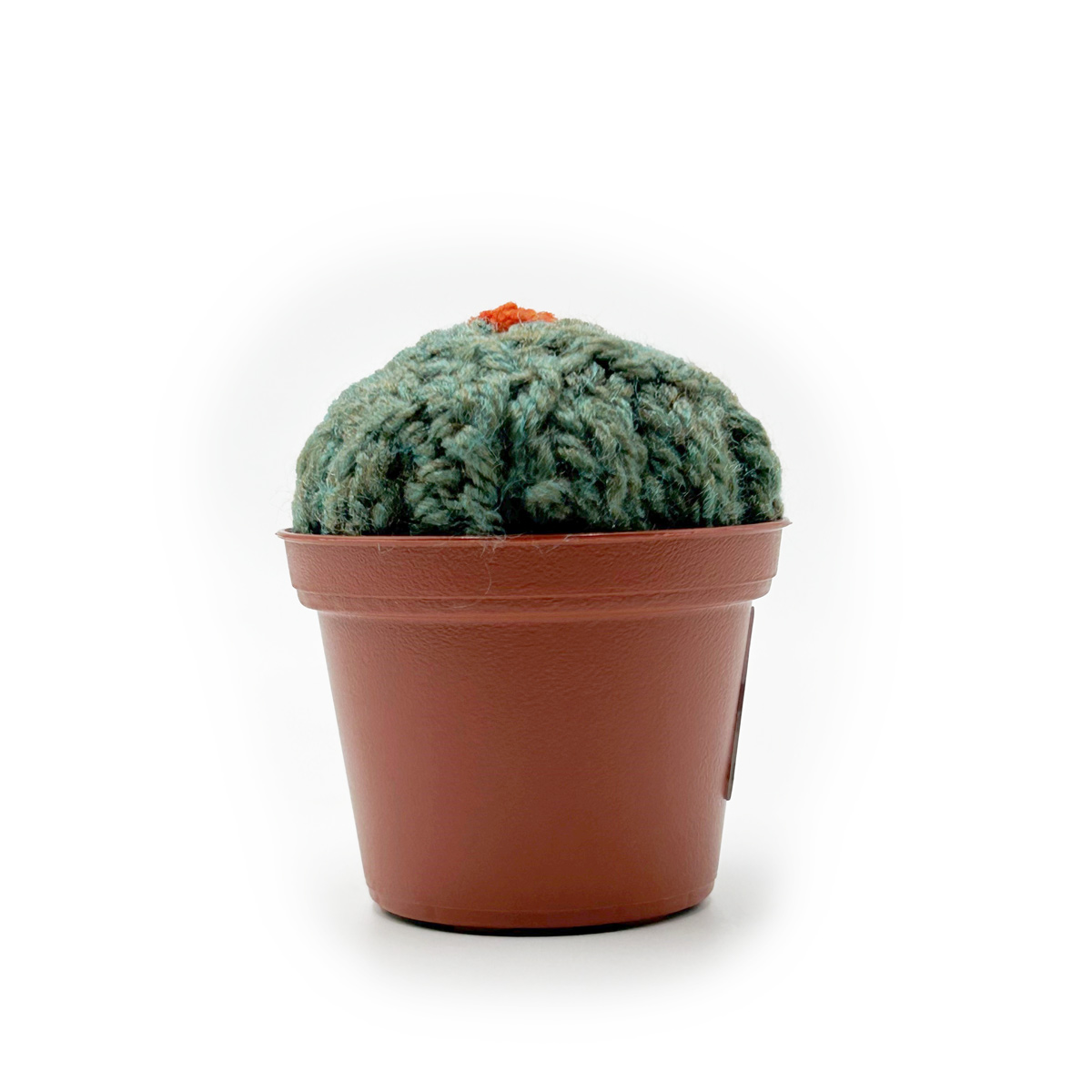 קקטוס-נמוך_1