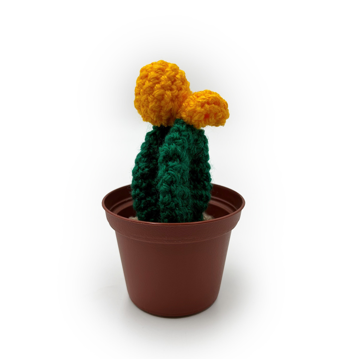 קקטוס-סרוד-באדנית-פלסטיק_3