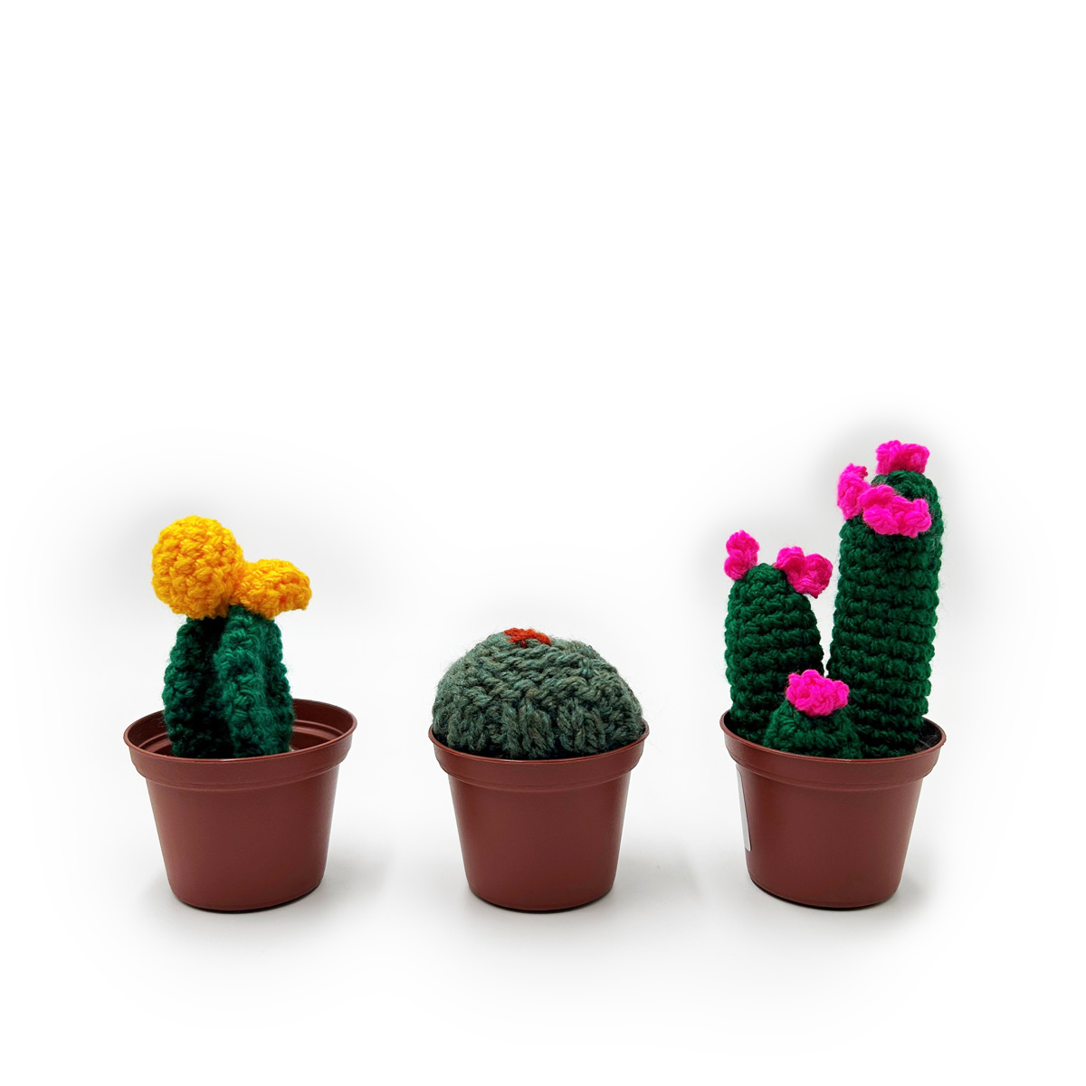 קקטוס-סרוד-באדנית-פלסטיק_5